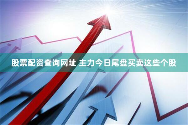 股票配资查询网址 主力今日尾盘买卖这些个股