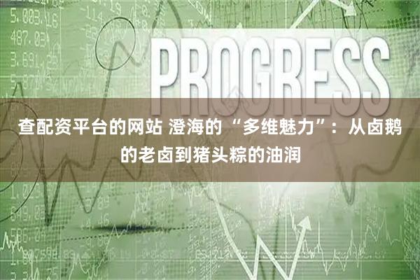 查配资平台的网站 澄海的 “多维魅力”：从卤鹅的老卤到猪头粽的油润